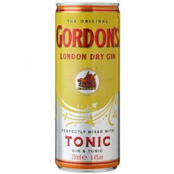 Gordon's Gin & Tonic 6,4% 0,25l